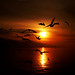 Deniz Yener Photo 5