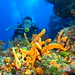 Mark Giles Photo 31