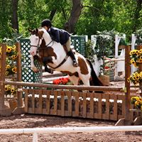 Susan Laurie Photo 17