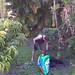 Geoffrey Plant Photo 10