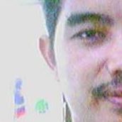 Ali Ziyad Photo 19