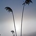 Richard Plante Photo 18