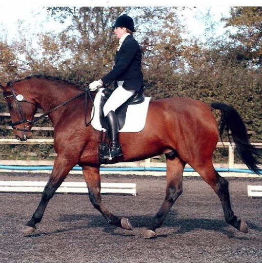 Lisa Webster Photo 28