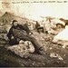 William Simpson Photo 30