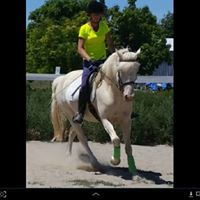 Deborah Dougherty Photo 13