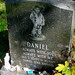 Daniel Kennedy Photo 22
