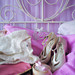 Mary Rosa Photo 22