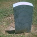 John Mccarty Photo 23