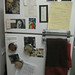 Ann Merwin Photo 2