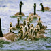 Joanie Smith Photo 41
