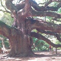 Lloyd Woods Photo 31