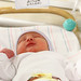 Thomas Conner Photo 24