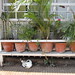 Billie Plant Photo 1