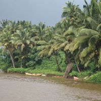 Kishor Joshi Photo 18
