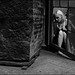 Susan Means Photo 24
