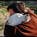 Sue Haines Photo 13