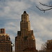 Nicholas Hess Photo 11
