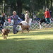 Bonita Snodgrass Photo 9