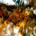 Lisa Wert Photo 2