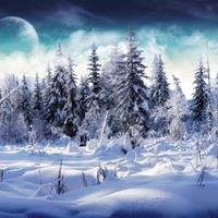 Crystal Mccarthy Photo 26