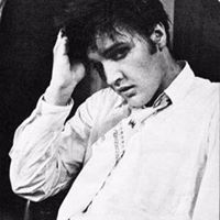 Peter Beaver Photo 14