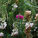 Heather White Photo 9