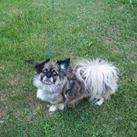 Donna Dearman Photo 16