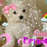 Joy John Photo 28