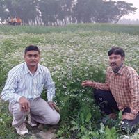Dipankar Biswas Photo 10