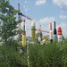 Terry Copeland Photo 18