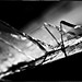 Kenneth Sharp Photo 16