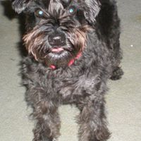 Nellie Chaney Photo 7