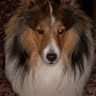 Mary Conner Photo 26