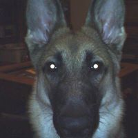 Teresa Evers Photo 15