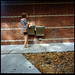 Kristine Lombardo Photo 18