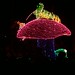 Alice Light Photo 21