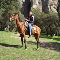 Silvino Rodriguez Photo 19