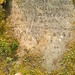 Mary Darlington Photo 4