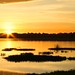 Dawn Hollingsworth Photo 10