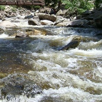 Sheri Conner Photo 14