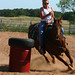 Lynn Saunders Photo 29