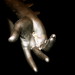 Adrian Alexander Photo 9