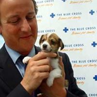 David Cameron Photo 47