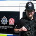 David Sergeant Photo 13