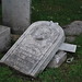 Julia Graves Photo 45