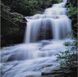 George Madison Photo 27