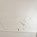 Jonathan Long Photo 37