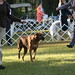 Bonita Snodgrass Photo 7