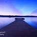 Dawn Hollingworth Photo 8