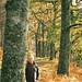 Craig Wood Photo 29